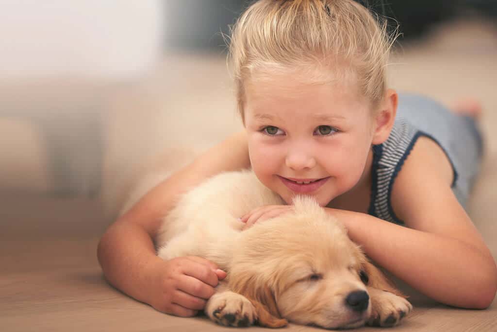 Puppies