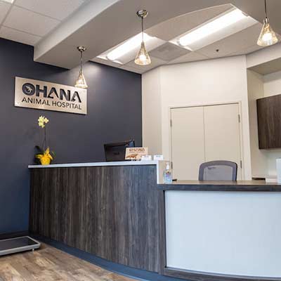 Reception Ohana Animal Hospital