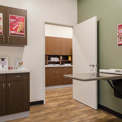 Exam Room Ohana Animal Hospital