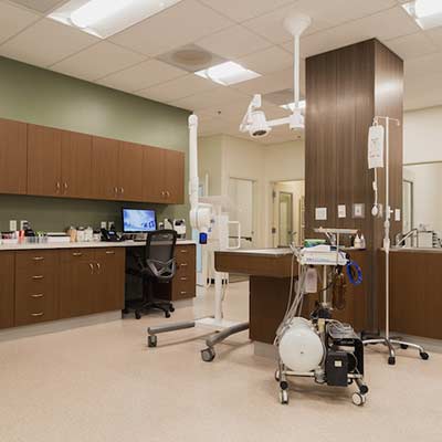 Treatment Ohana Animal Hospital