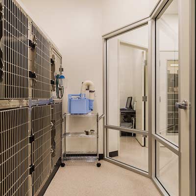 ICU Ohana Animal Hospital