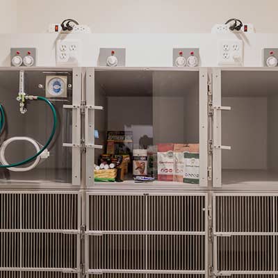 Exotics Ohana Animal Hospital